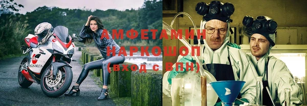 хмурый Бородино
