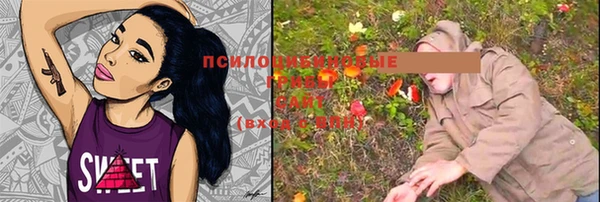 крисы Верхнеуральск