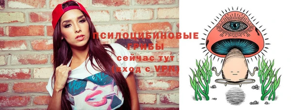 круглые Бронницы