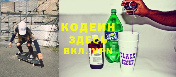 хмурый Бородино