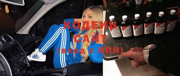 хмурый Бородино